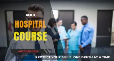 Exploring the Fundamentals of Hospital Courses: A Comprehensive Guide