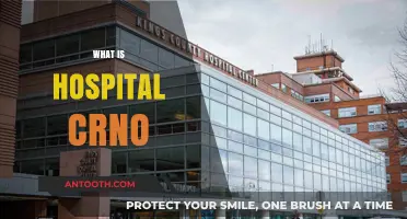 Understanding the Role of a Hospital CRNO: A Comprehensive Guide