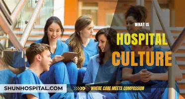 Exploring the Heartbeat of Healthcare: Understanding Hospital Culture