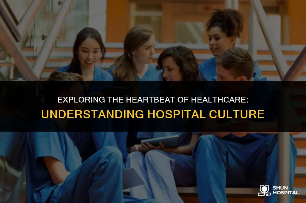what is hospital culture