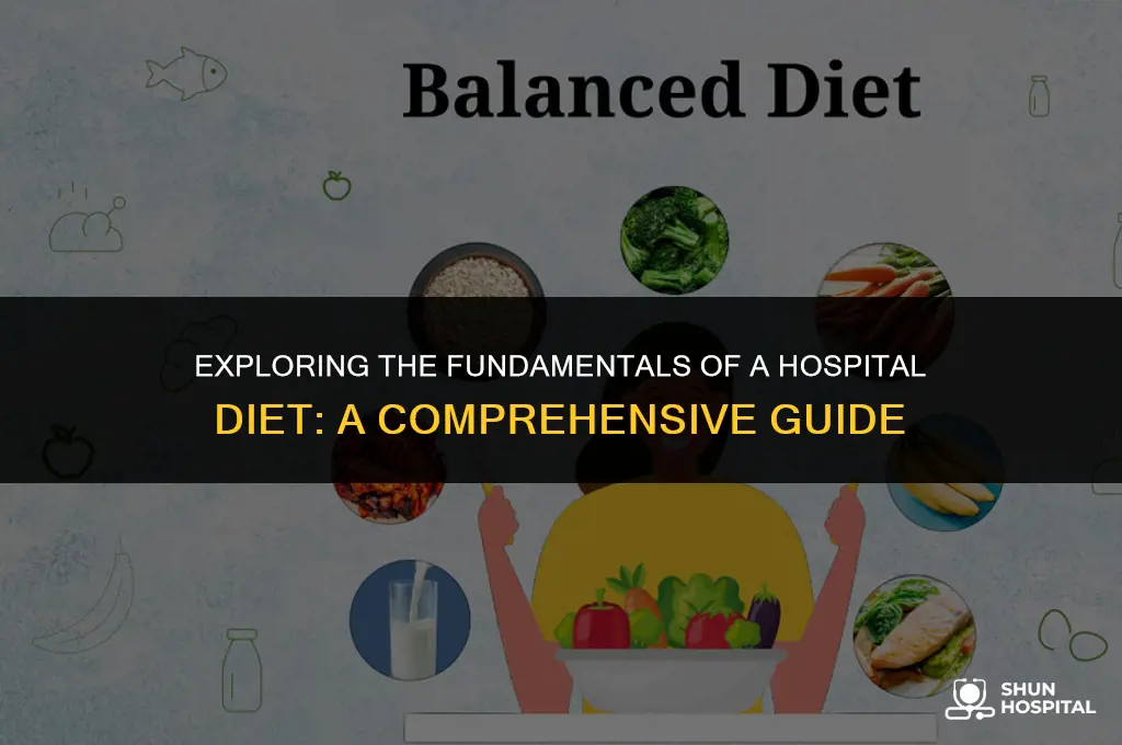 what is hospital diet