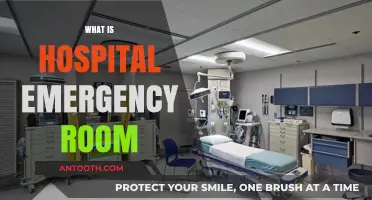 Navigating Crisis: Understanding the Lifeline of Hospital Emergency Rooms