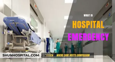 Navigating Crisis: Understanding Hospital Emergencies and Their Impact