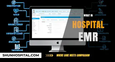 Exploring the Essentials of Hospital EMR Systems