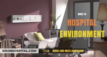 Exploring the Dynamics of a Hospital Environment: A Comprehensive Guide