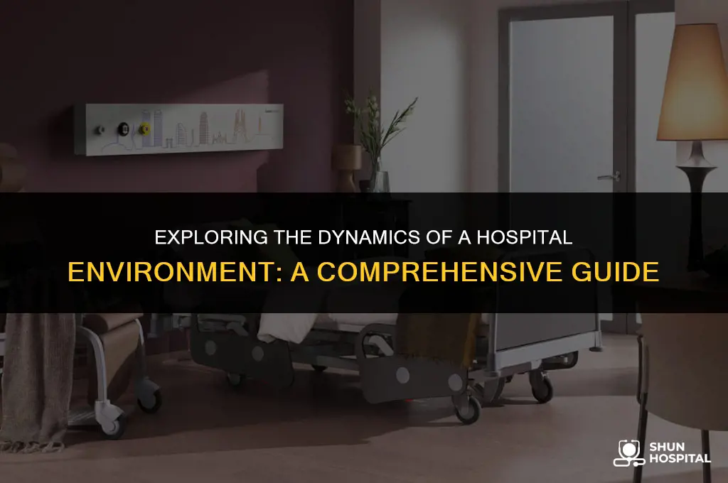 what is hospital environment