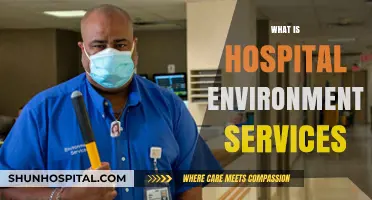 Exploring the Crucial Role of Environmental Services in Hospitals