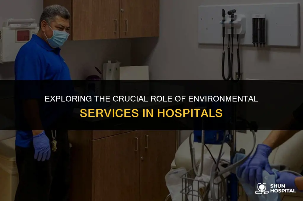 what is hospital environmental services