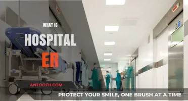 Understanding the Lifeline of Emergency Care: What is a Hospital ER?