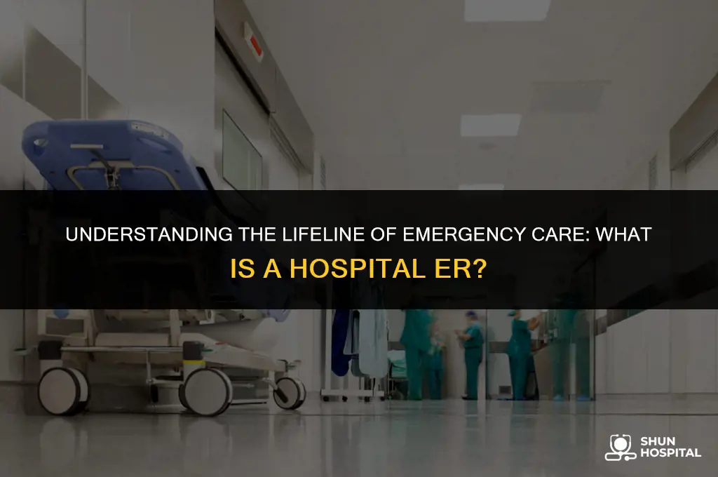what is hospital er