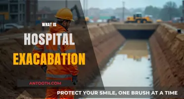 Understanding Hospital Excavation: A Comprehensive Guide