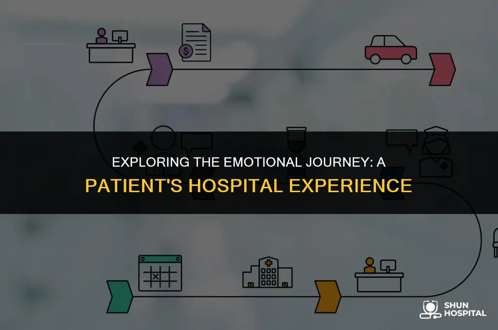 what is hospital experience