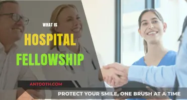 Exploring the Ins and Outs of Hospital Fellowships: A Comprehensive Guide