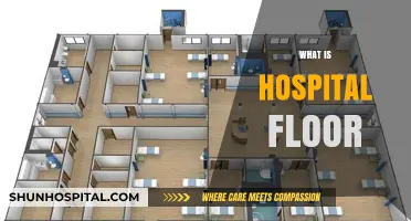 Understanding Hospital Floors: A Comprehensive Guide for Patients and Visitors