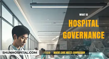 Exploring the Fundamentals of Effective Hospital Governance