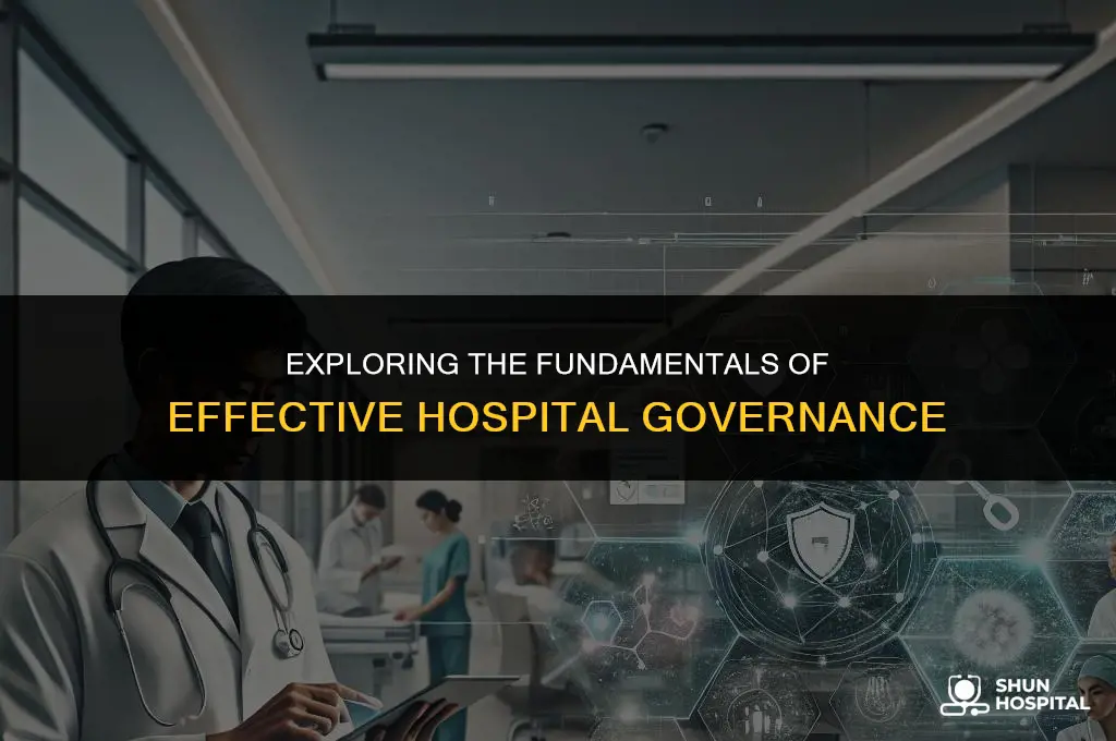 what is hospital governance