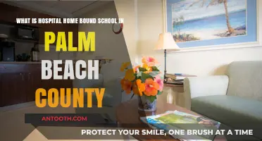 Understanding Palm Beach County's Hospital Homebound School Program