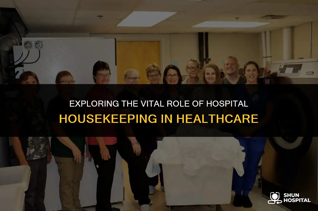 what is hospital housekeeping