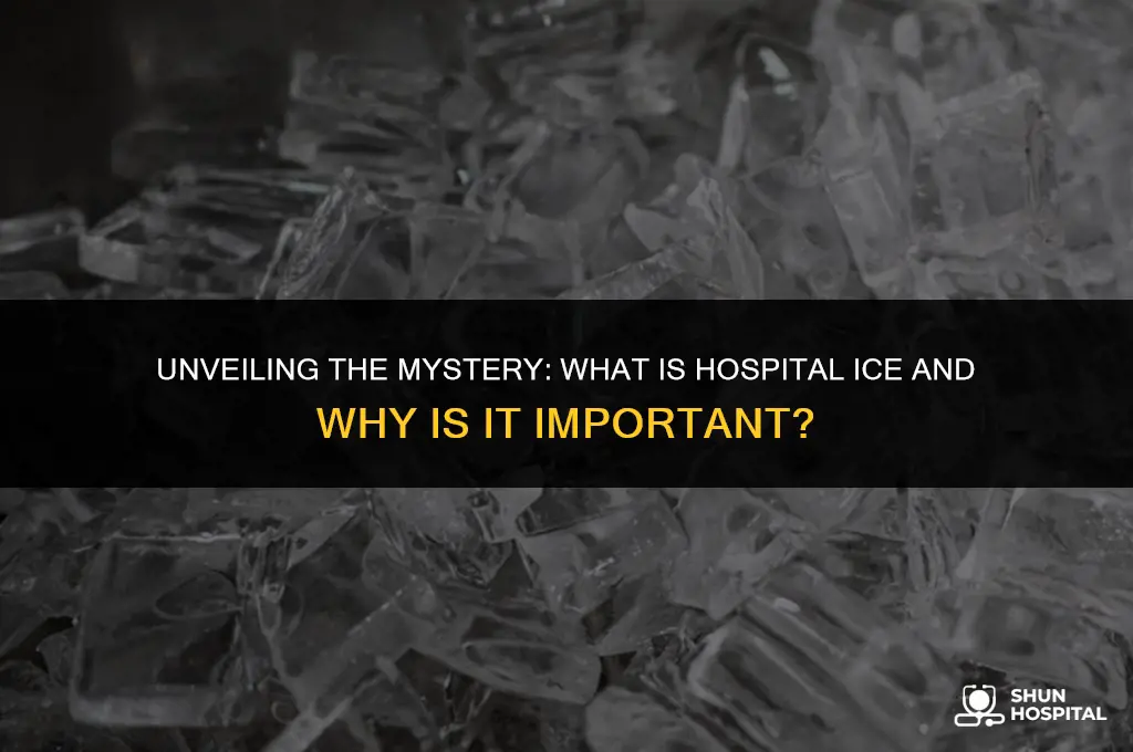 what is hospital ice