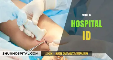 Understanding Hospital IDs: A Comprehensive Guide for Patients and Healthcare Providers