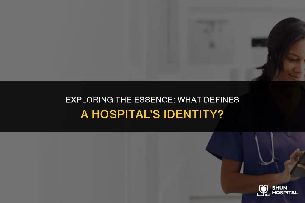 what is hospital identity