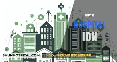 Understanding Hospital IDNs: A Comprehensive Guide for Healthcare Professionals