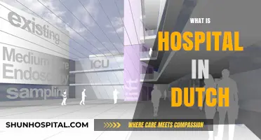 Exploring Healthcare: What Does 'Hospital' Mean in Dutch?