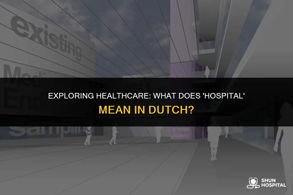 what is hospital in dutch