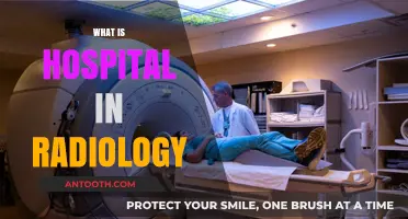 Exploring the Role of Radiology in Modern Hospitals