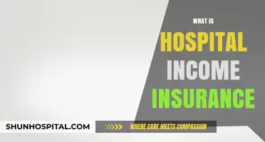 Understanding Hospital Income Insurance: A Comprehensive Guide