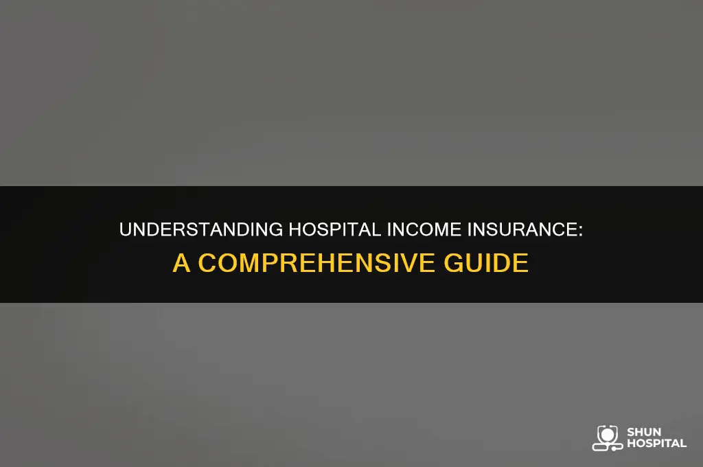 what is hospital income insurance