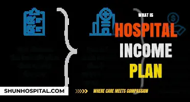 Understanding Hospital Income Plans: A Comprehensive Guide