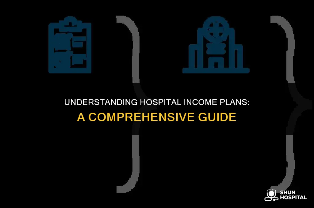 what is hospital income plan