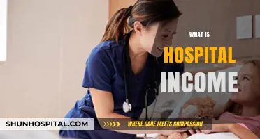 Understanding Hospital Income: A Comprehensive Guide for Healthcare Professionals
