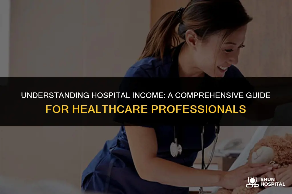 what is hospital income
