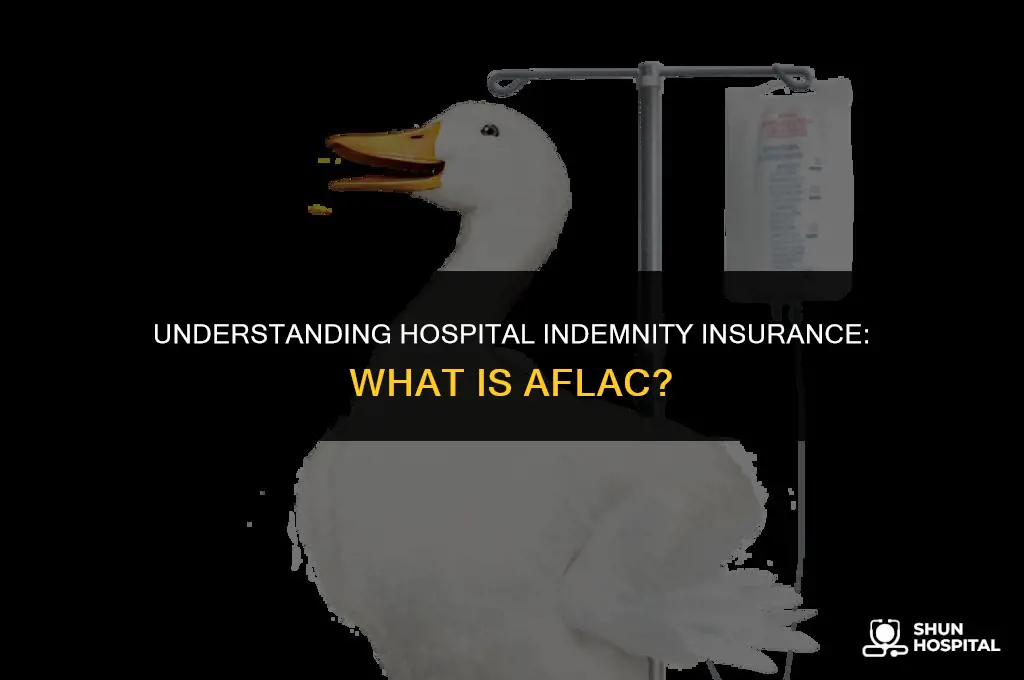 what is hospital indemnity aflac