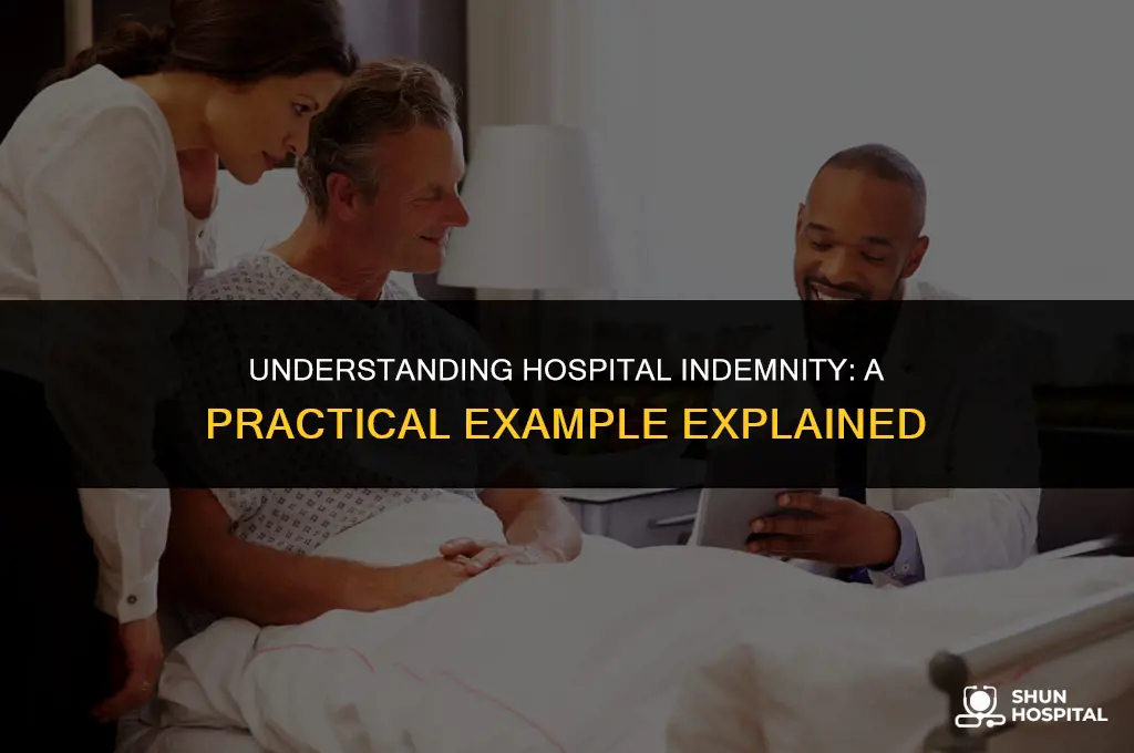 what is hospital indemnity example