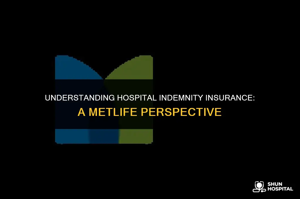 what is hospital indemnity metlife