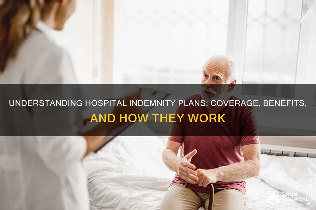 what is hospital indemnity plans