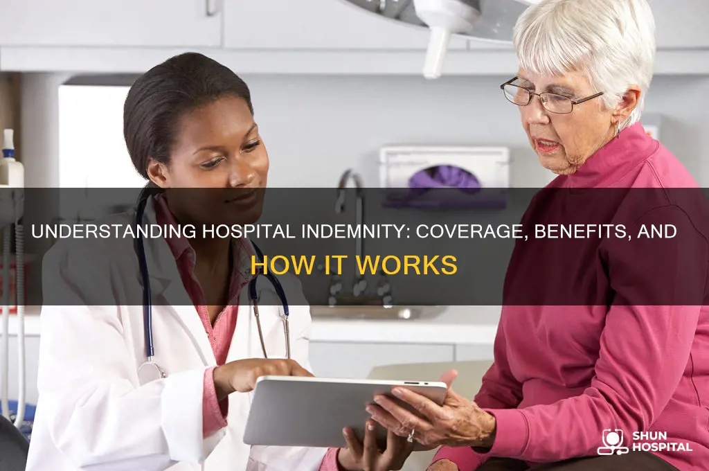 what is hospital indemnity