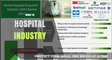 Exploring the Complexities of the Hospital Industry: A Comprehensive Guide