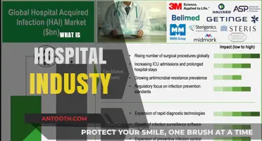 Exploring the Complex World of the Hospital Industry