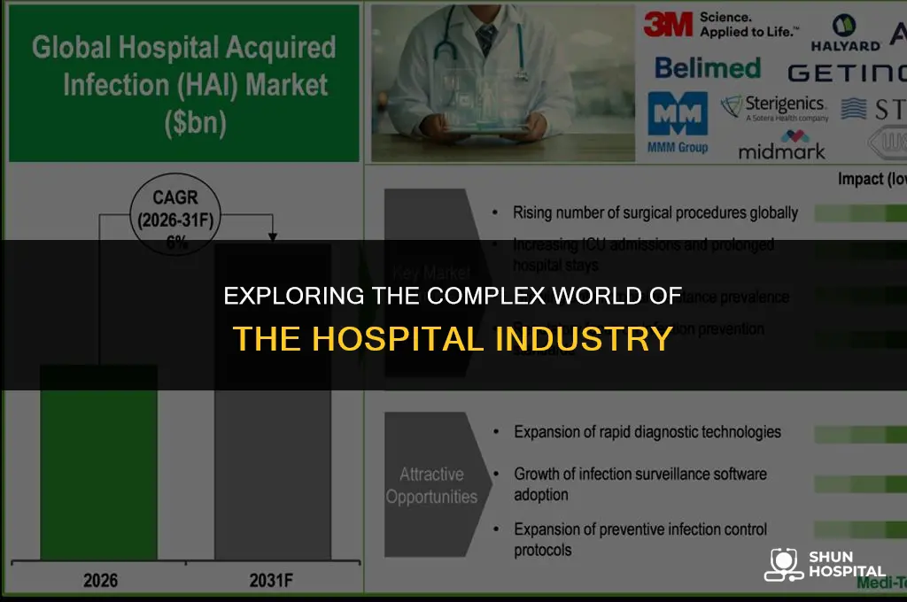 what is hospital industy