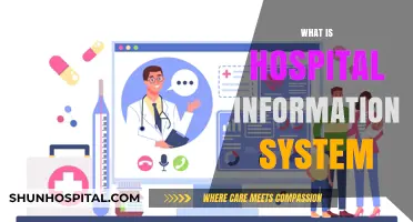 Exploring the Essentials of Hospital Information Systems