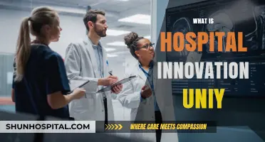 Exploring the Frontiers of Healthcare: What is Hospital Innovation?