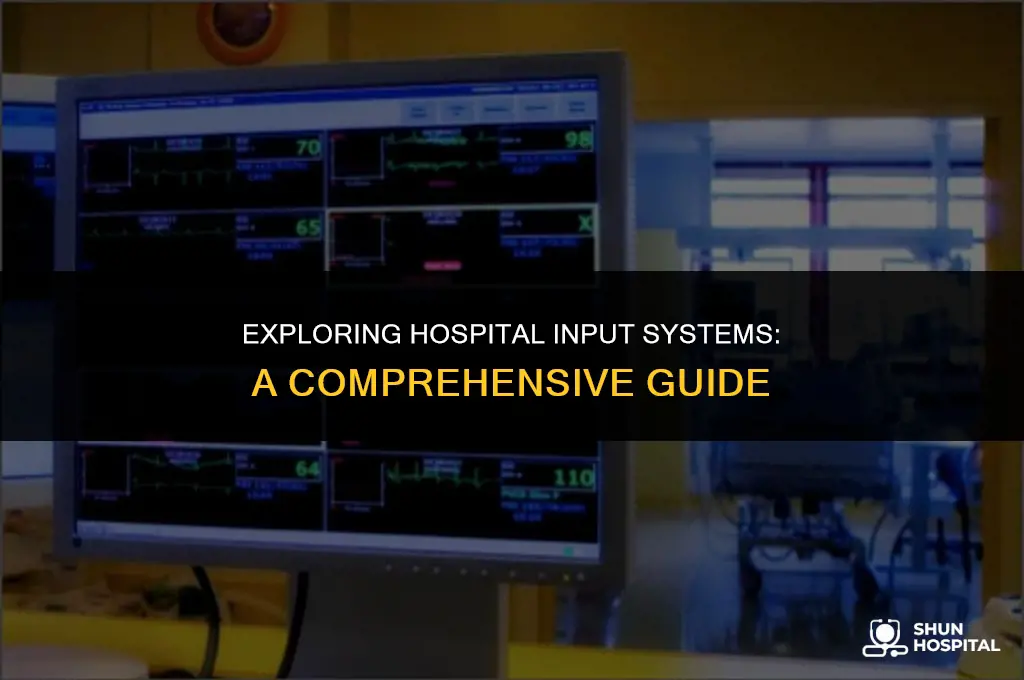 what is hospital input system