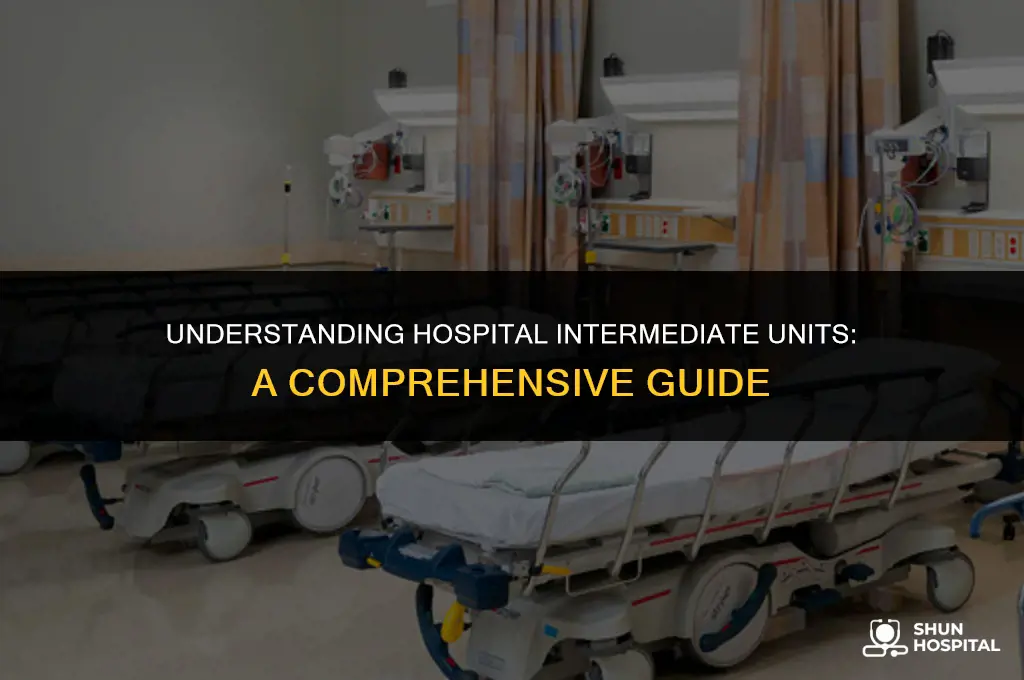 what is hospital intermediate unit