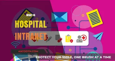 Exploring the Essentials of a Hospital Intranet: A Comprehensive Guide