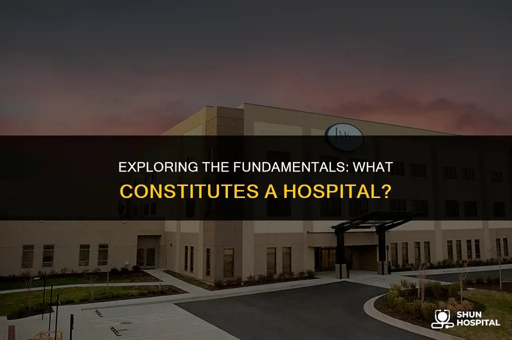 what is hospital it