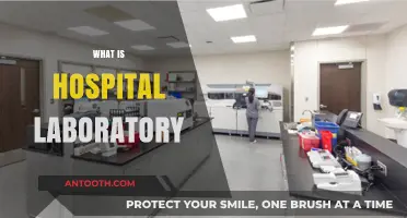 Exploring the Vital Role of Hospital Laboratories in Healthcare